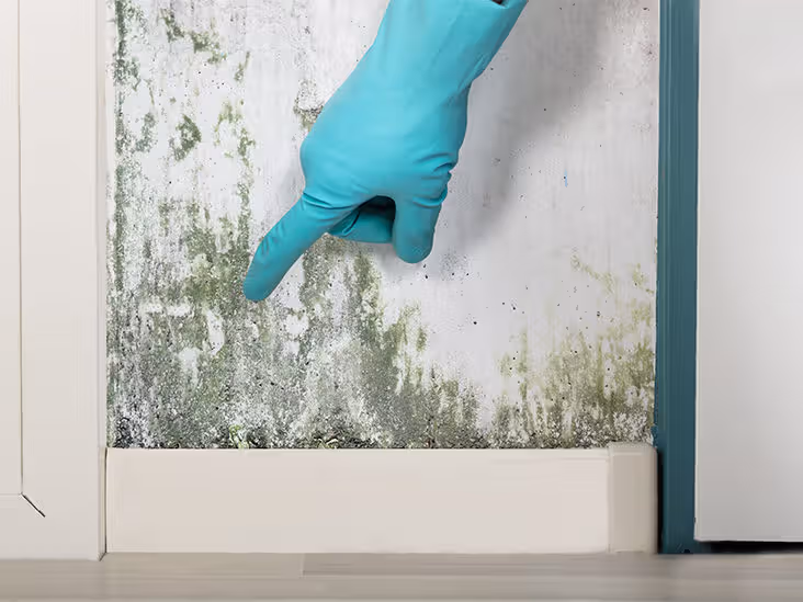 Mold damage on a wall and ceiling