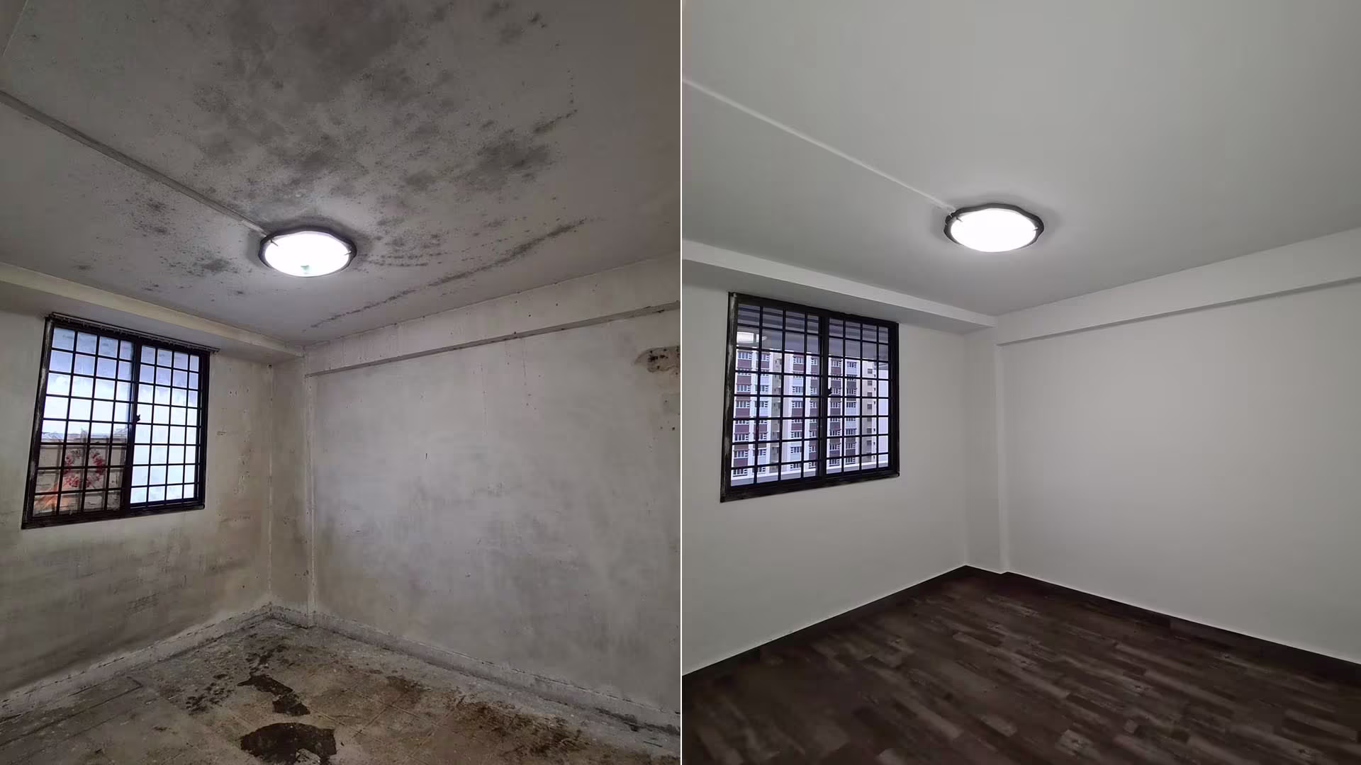 Bright, clean room after mold removal
