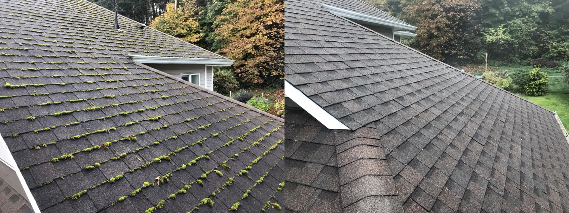 Roof cleaning before and after comparison