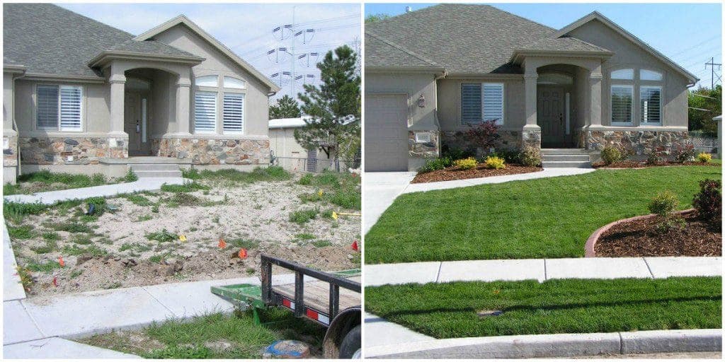Before and after yard cleanup comparison